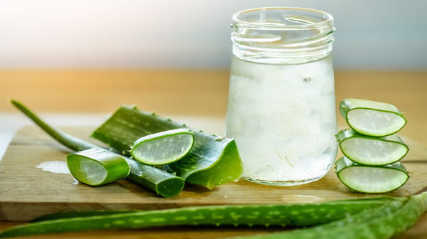 The Benefits of Drinking Aloe Vera